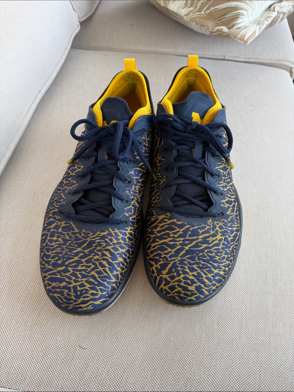 Jordan U of M Navy and Yellow Patterned Sneakers